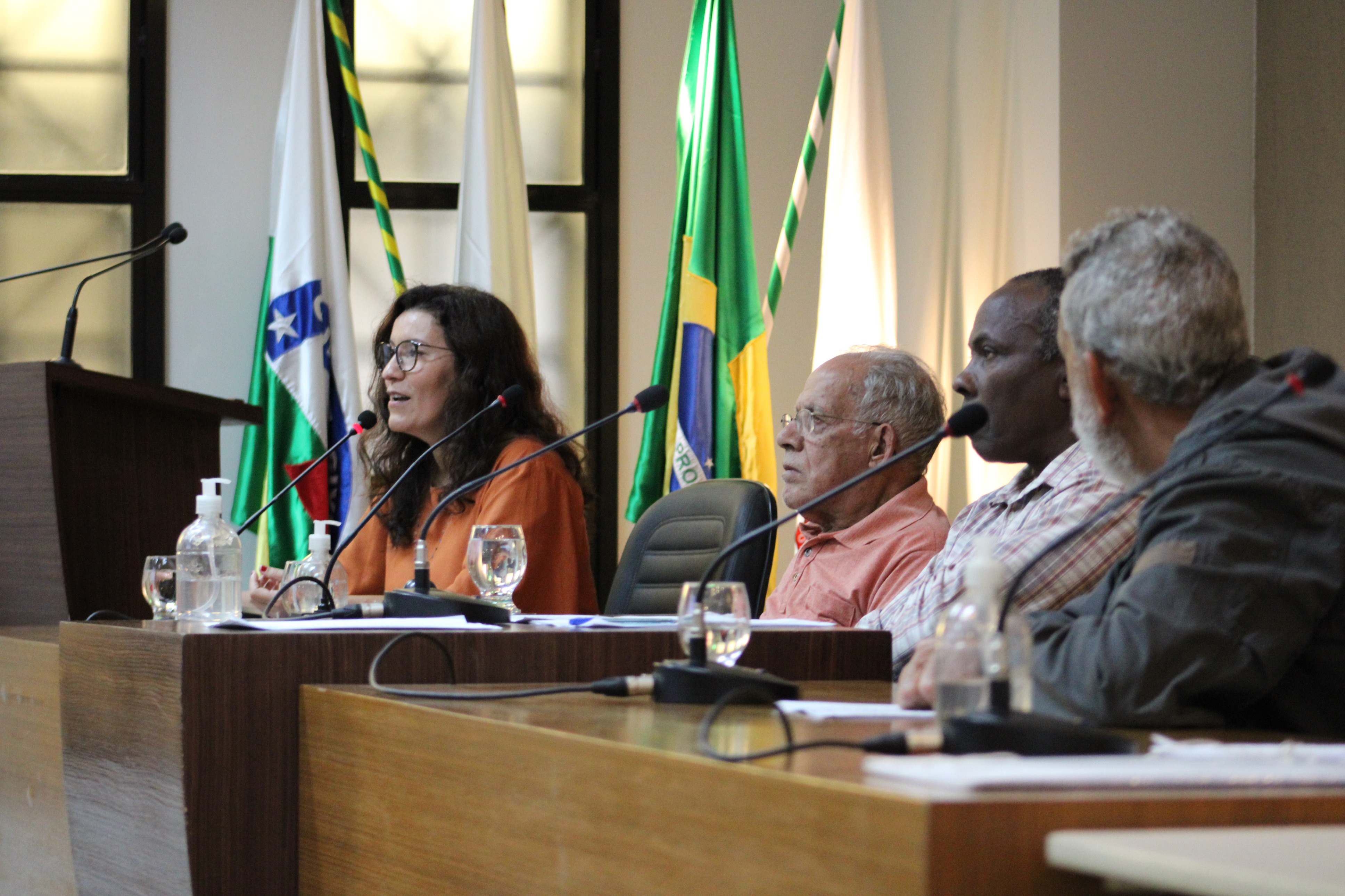 Reunião do Parlamento do Idoso (26/06/2024)