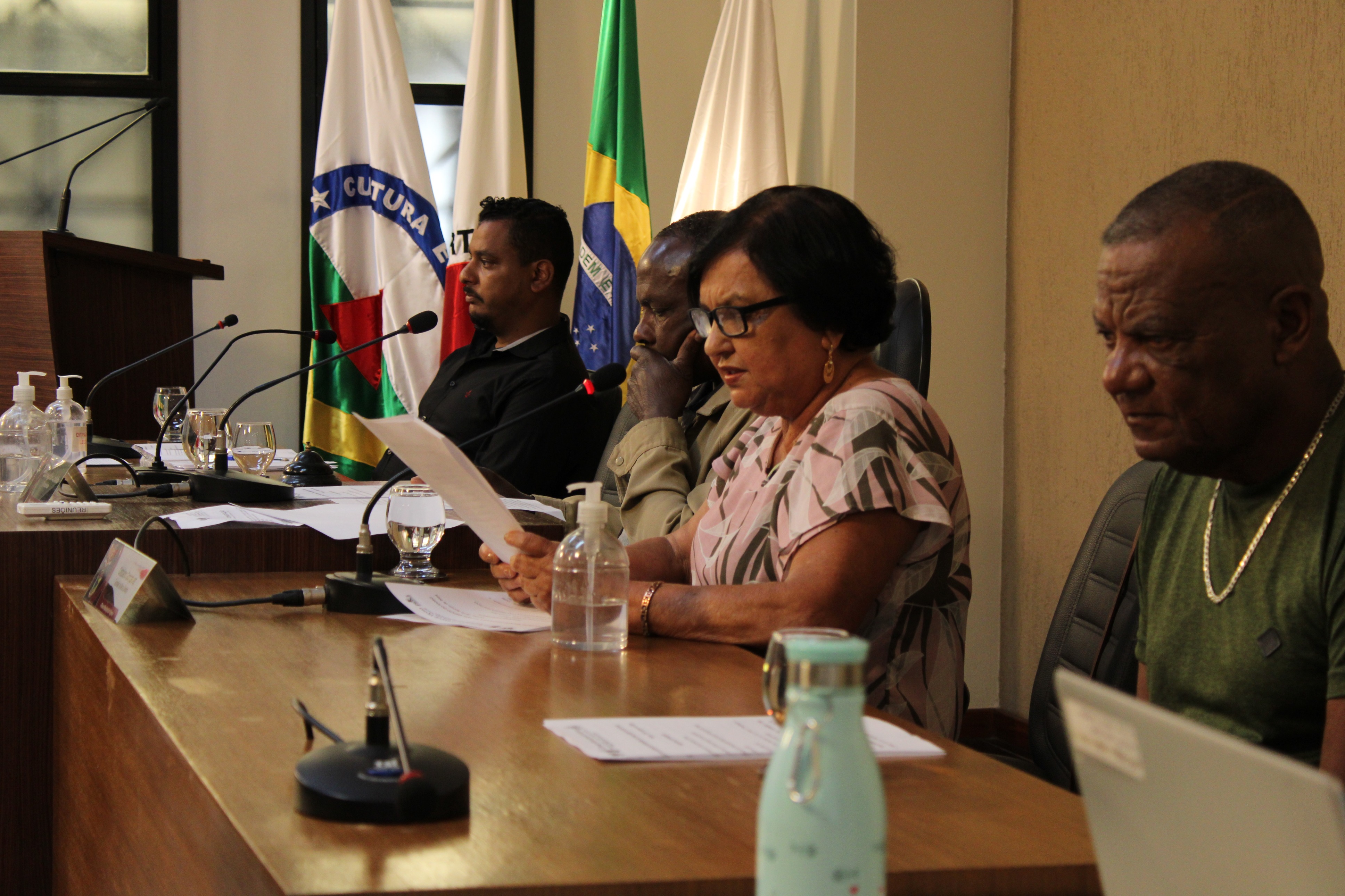 Reunião do Parlamento do Idoso (28/08/2024)