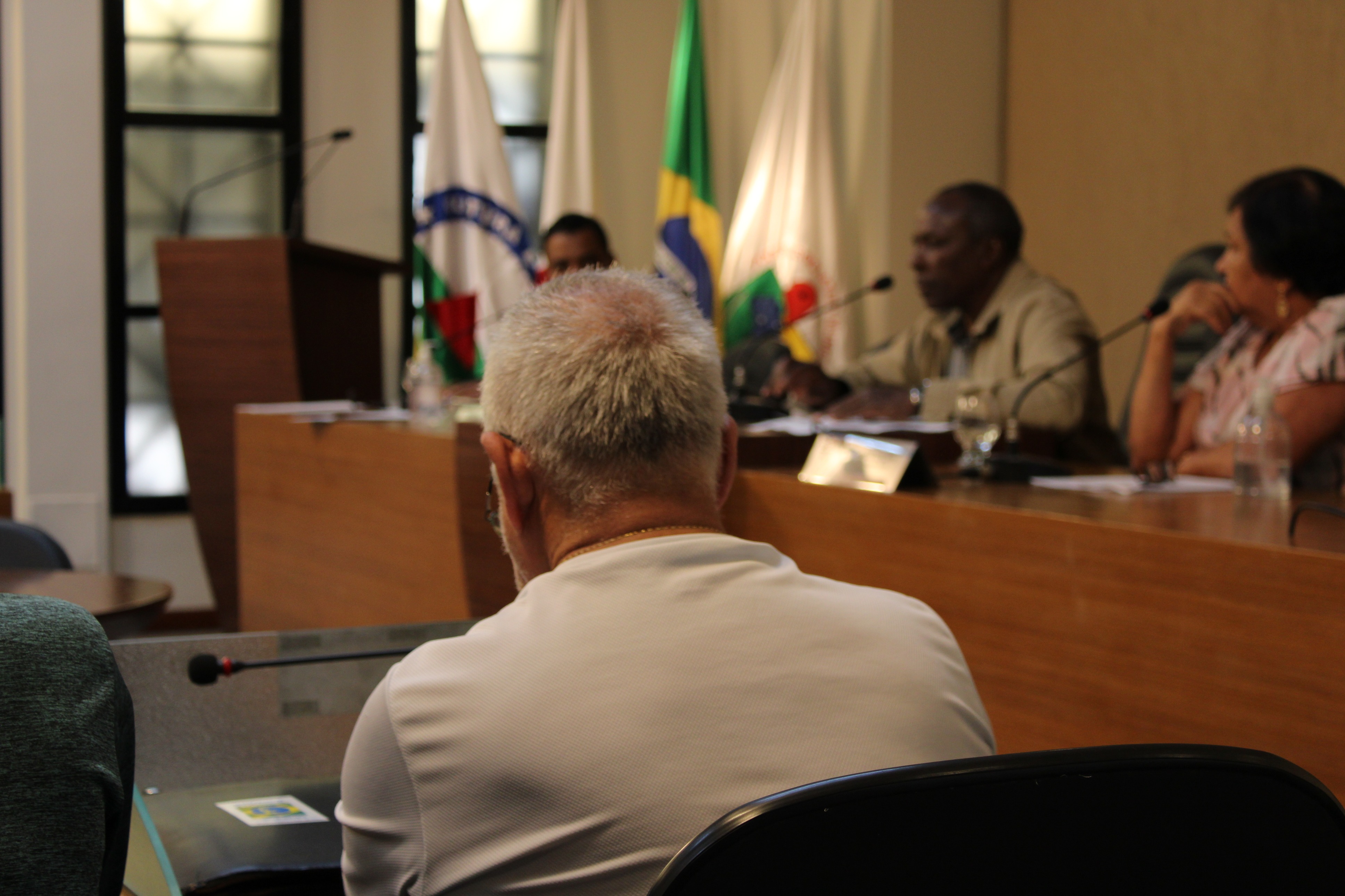 Reunião do Parlamento do Idoso (28/08/2024)