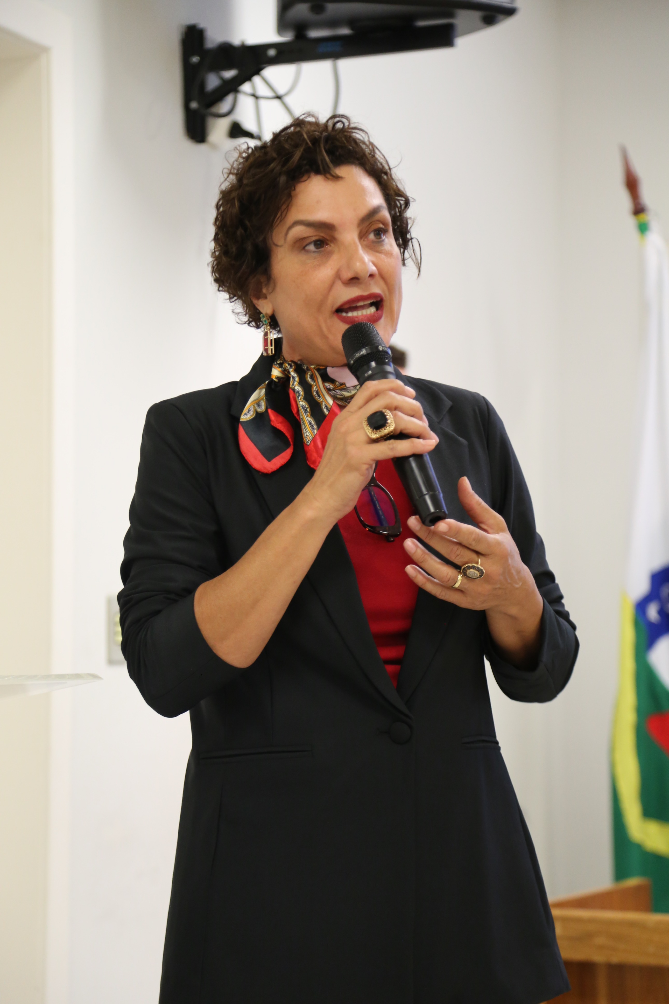 Palestrante, Luciene Colli - Professora do Curso de Direito da UFV