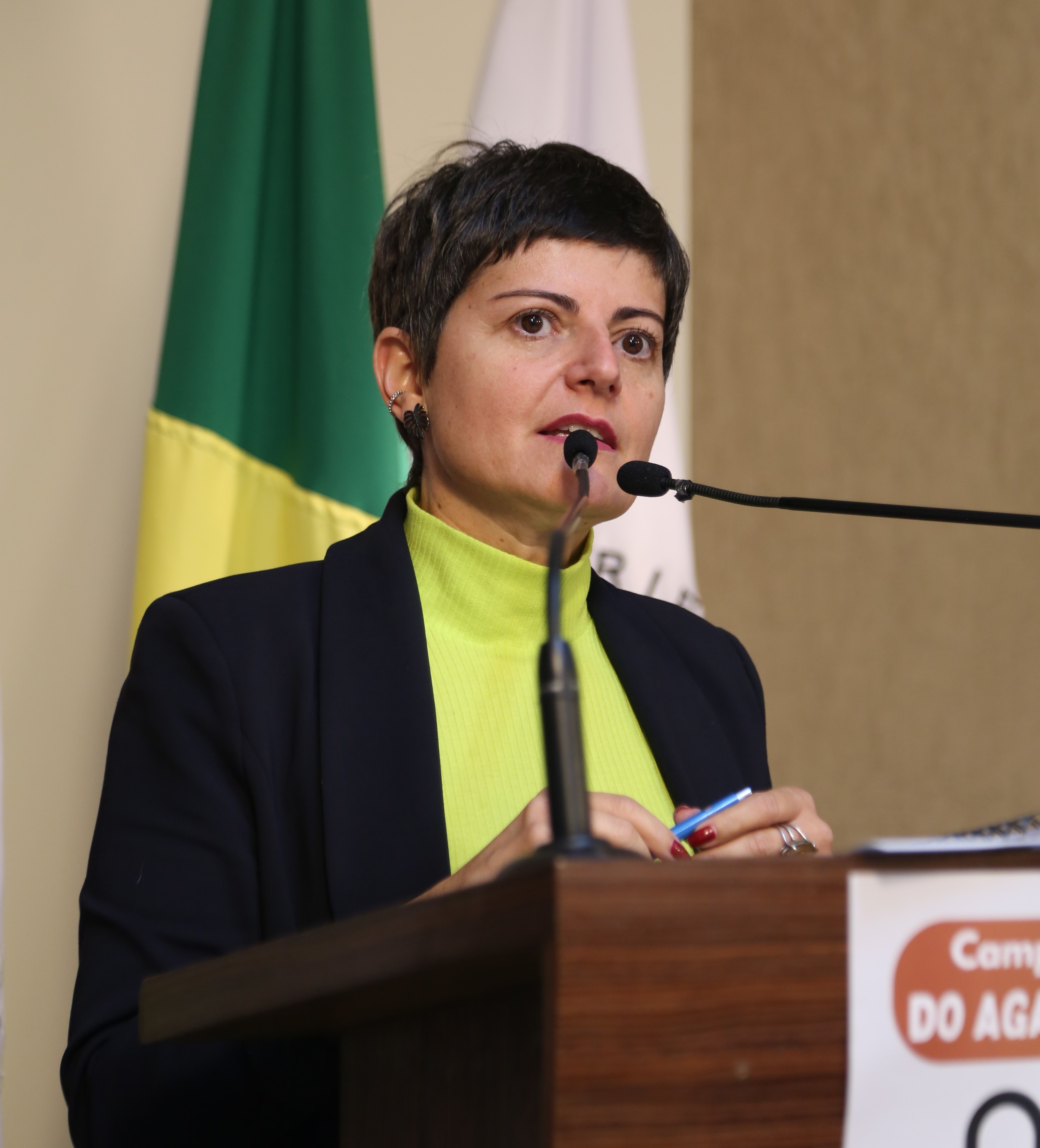 Vereadora Marly Coelho Januário (PSC) 2ª Secretária da Mesa Diretora