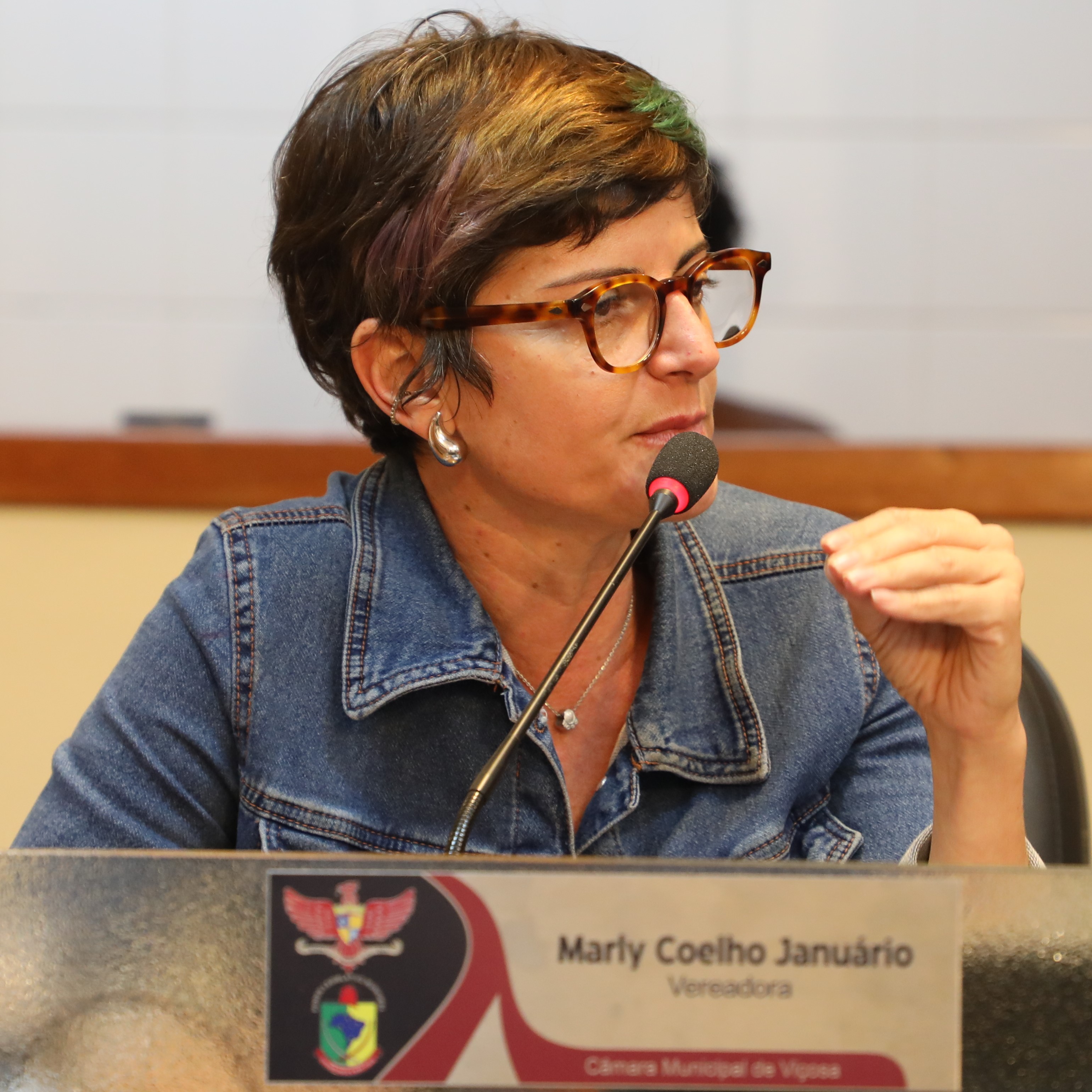 Vereadora Marly Coelho (PSC) 2ª Secretária da Mesa Diretora Presidente da Comissão dos Direitos da Mulher da Câmara de Viçosa