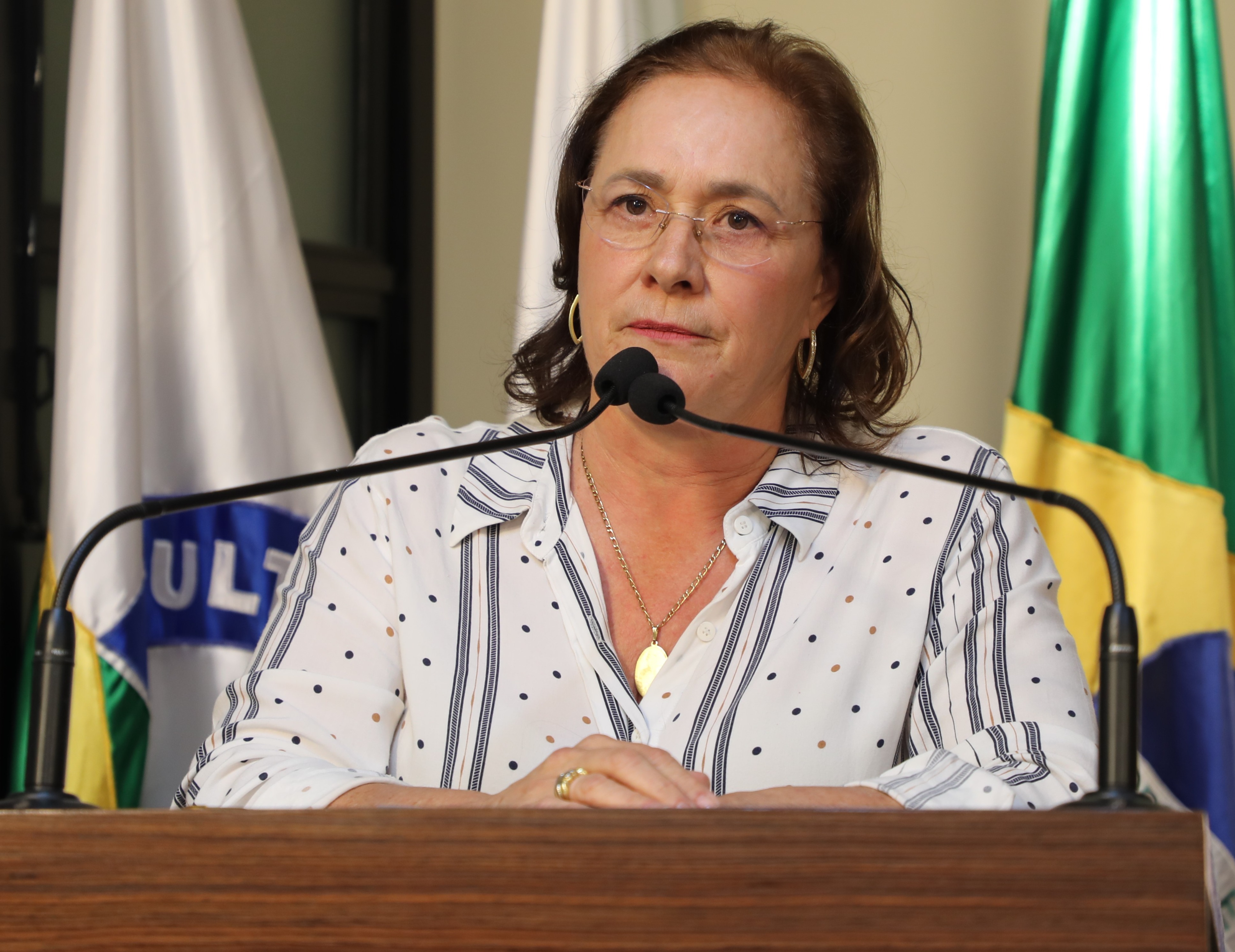 Vereadora Vanja Honorina (UNIÃO) Presidente da Comissão de Abastecimento, Indústria, Comércio e Defesa do Consumidor